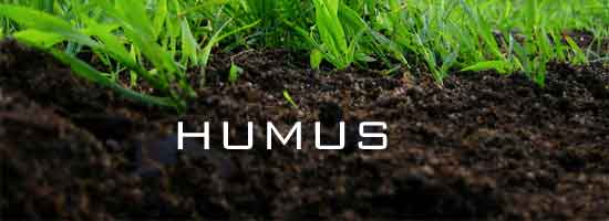 Картинки по запросу humus soil